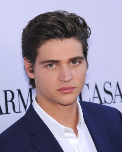 LOS ANGELES - AUG 08:  Will Peltz arrives to "Paranoia" American