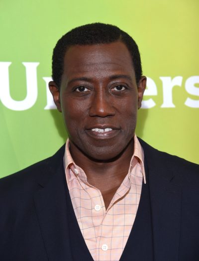 LOS ANGELES - AUG 13:  Wesley Snipes arrives to the Summer 2015