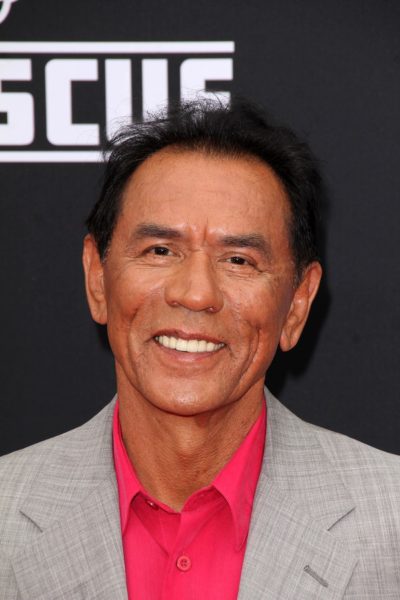 LOS ANGELES - JUL 16:  Wes Studi at the "Planes: Fire & Rescue"